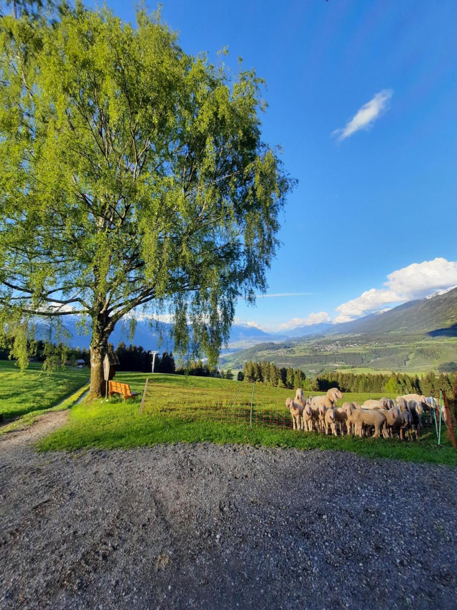 Nockhof Villa Innsbruck Bagian luar foto